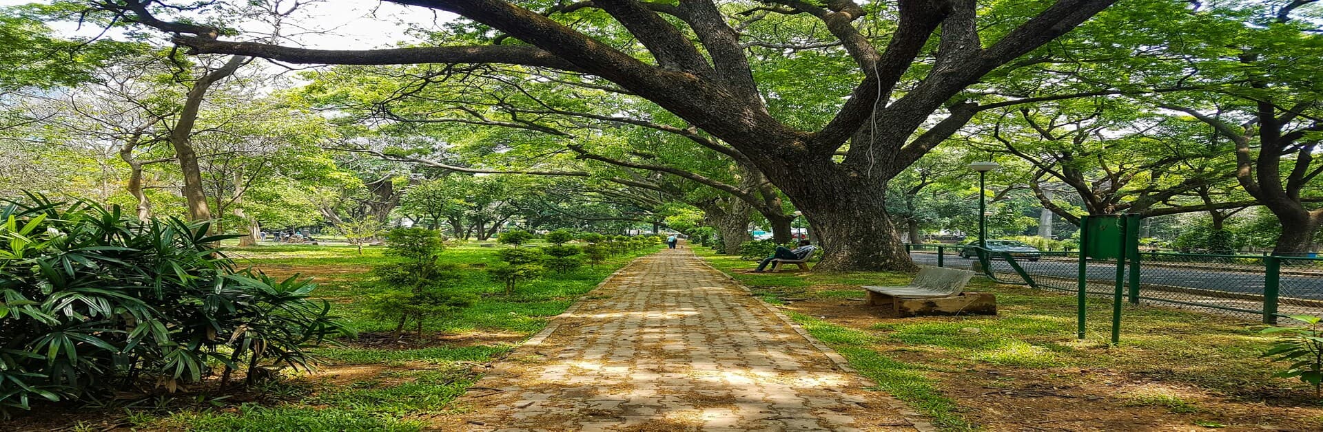Forest-inspired apartments in Thanisandra at Godrej Woods