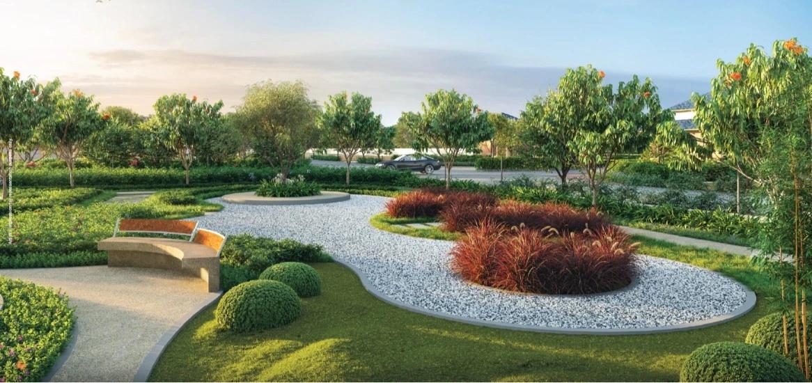 Zen Garden