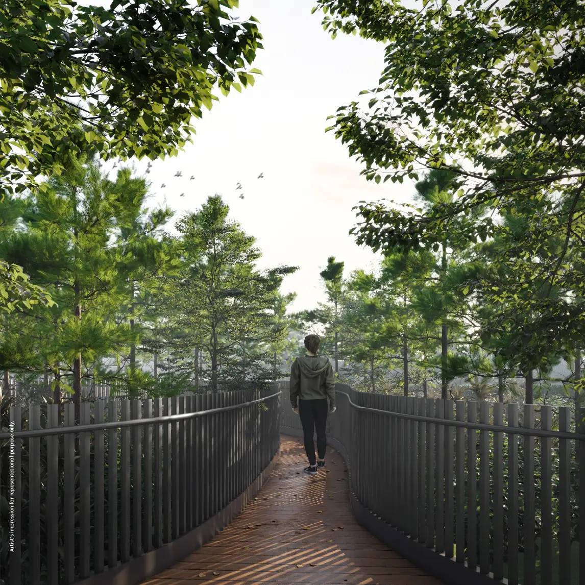 Forest View