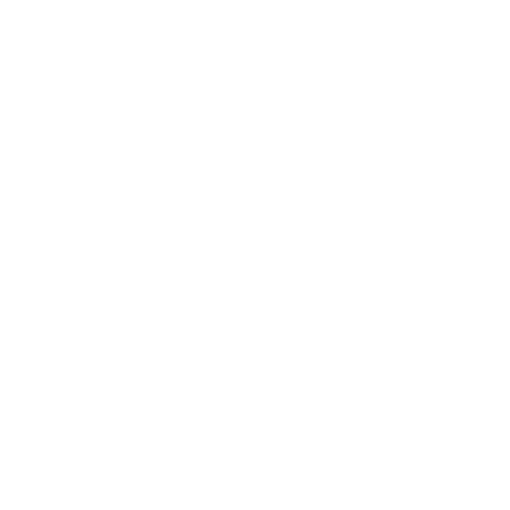 INTERNATIONAL CONSULTANTS
