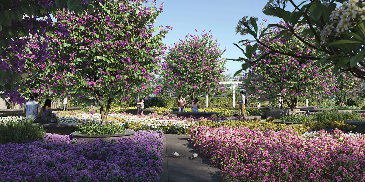 Butterfly Garden
