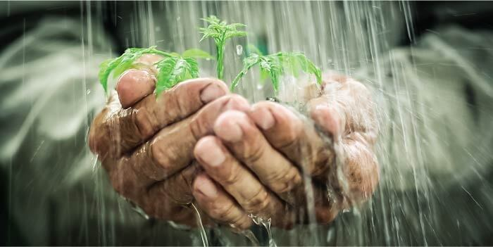 Rain Water Harvesting