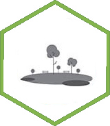 5 acres of green open space