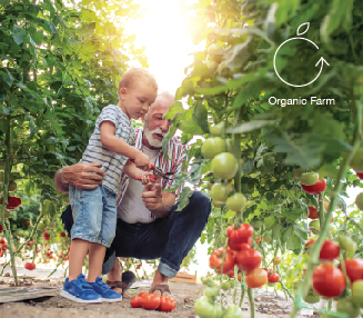 Organic Farm