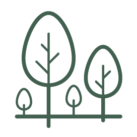 World of green at Ground level