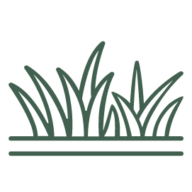 Multipurpose Lawns