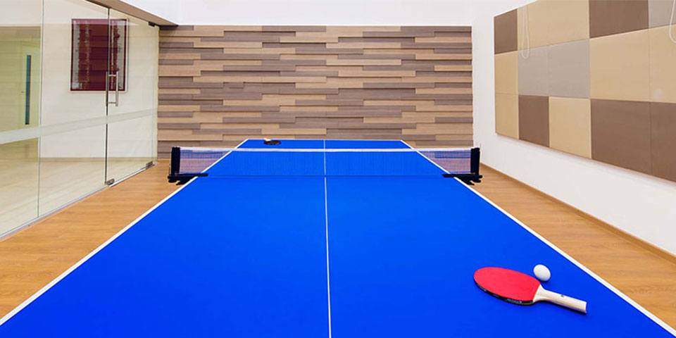 Table Tennis Room