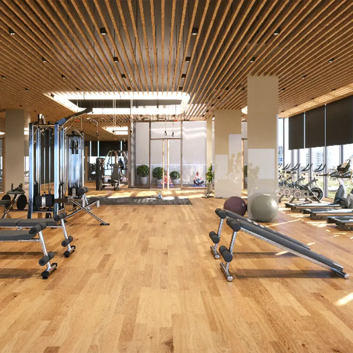 Modern Gym with International Brand Partner
