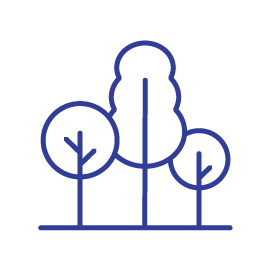 3600 Trees
