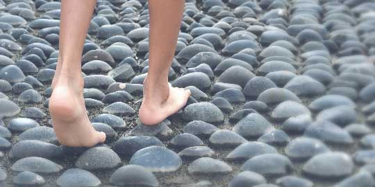 Acupressure Pathway (or Reflexology path)