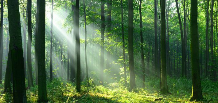Plots For Sale in Bangalore