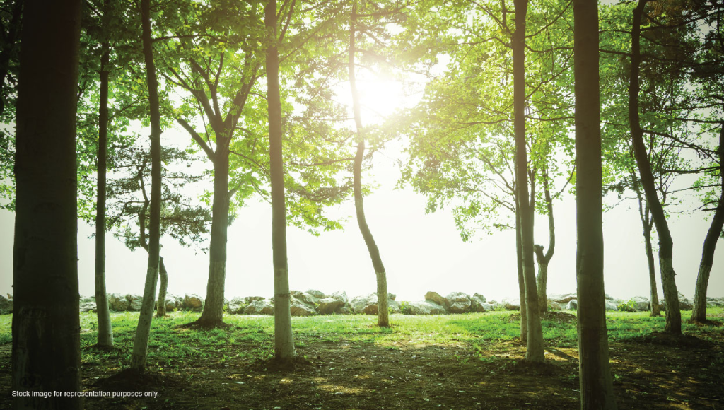 Godrej Sunrise Estate in Orgadam, Chennai