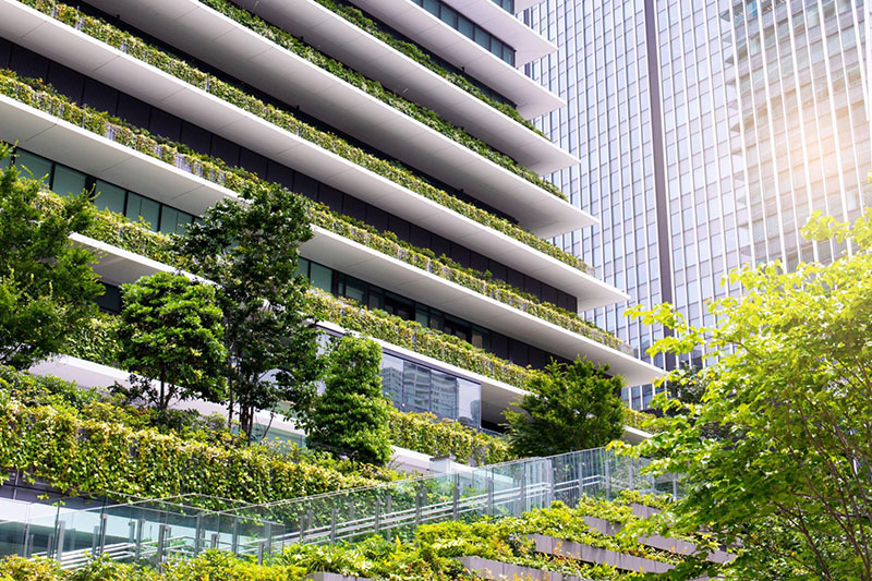 Eco-Friendly Home Building: Embracing Sustainable Materials and Techniques