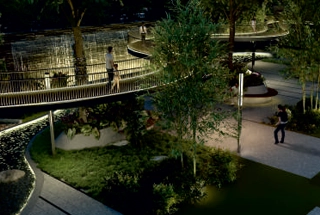 Serene Banyan Walkways