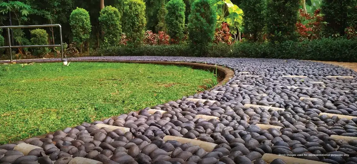Reflexology Pathway