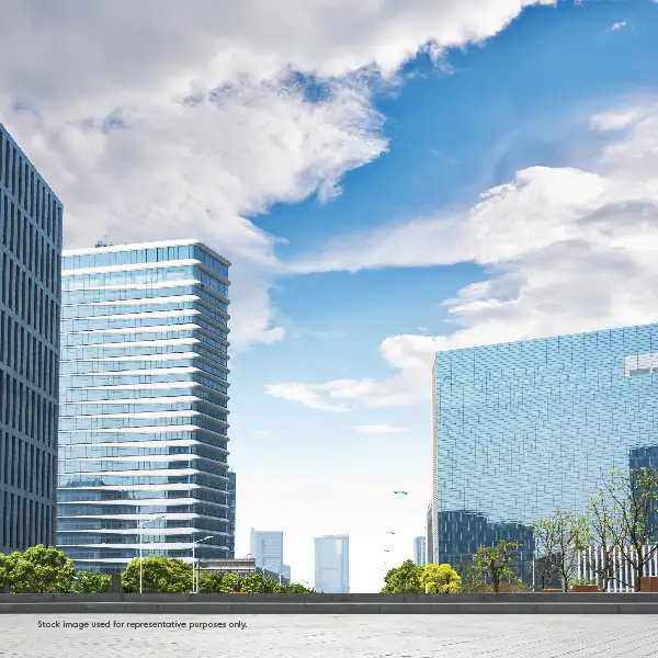 Corporate Hubs