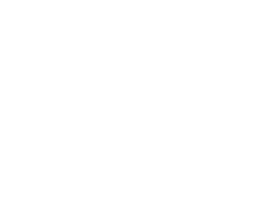 icon-4