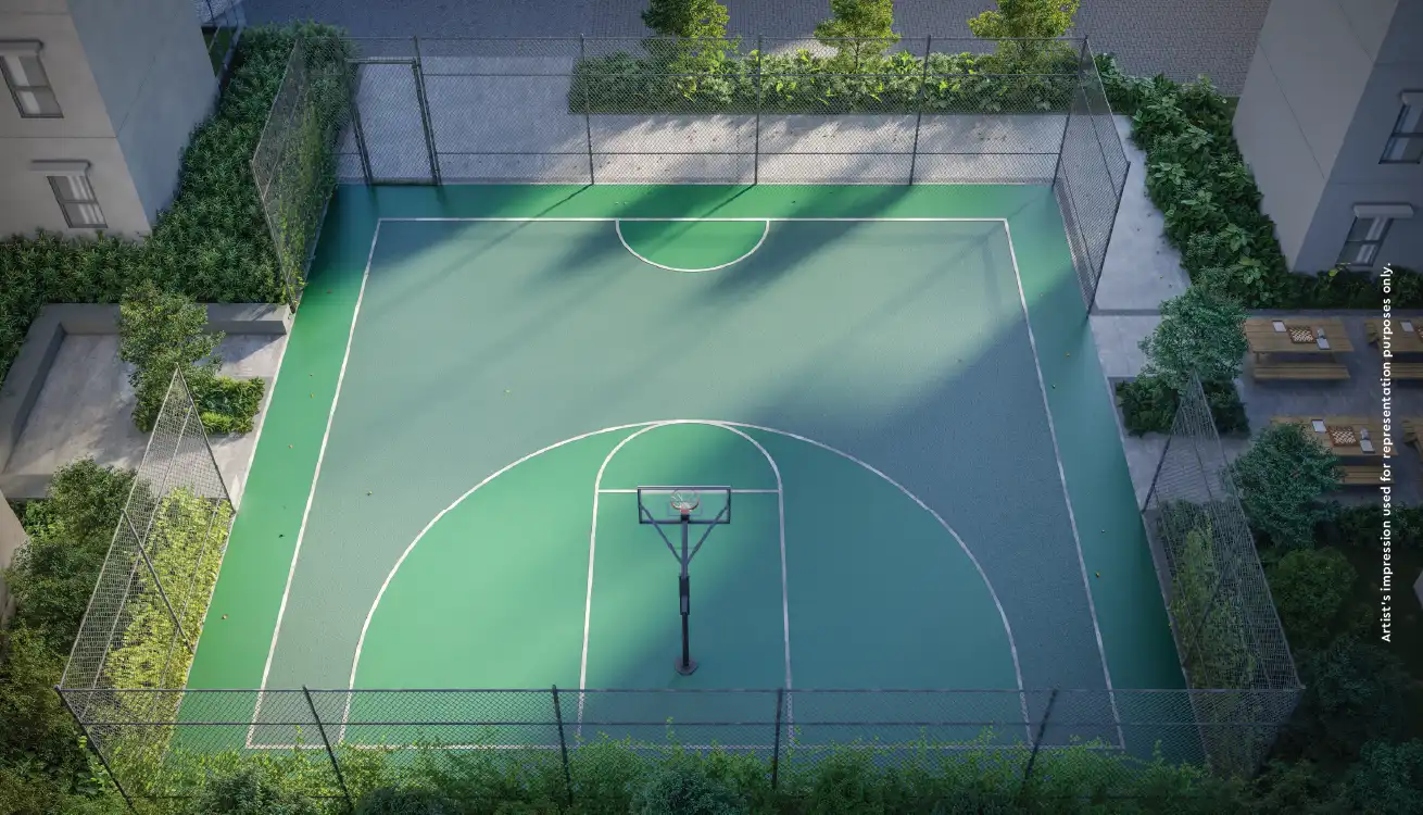 Half Basketball Court