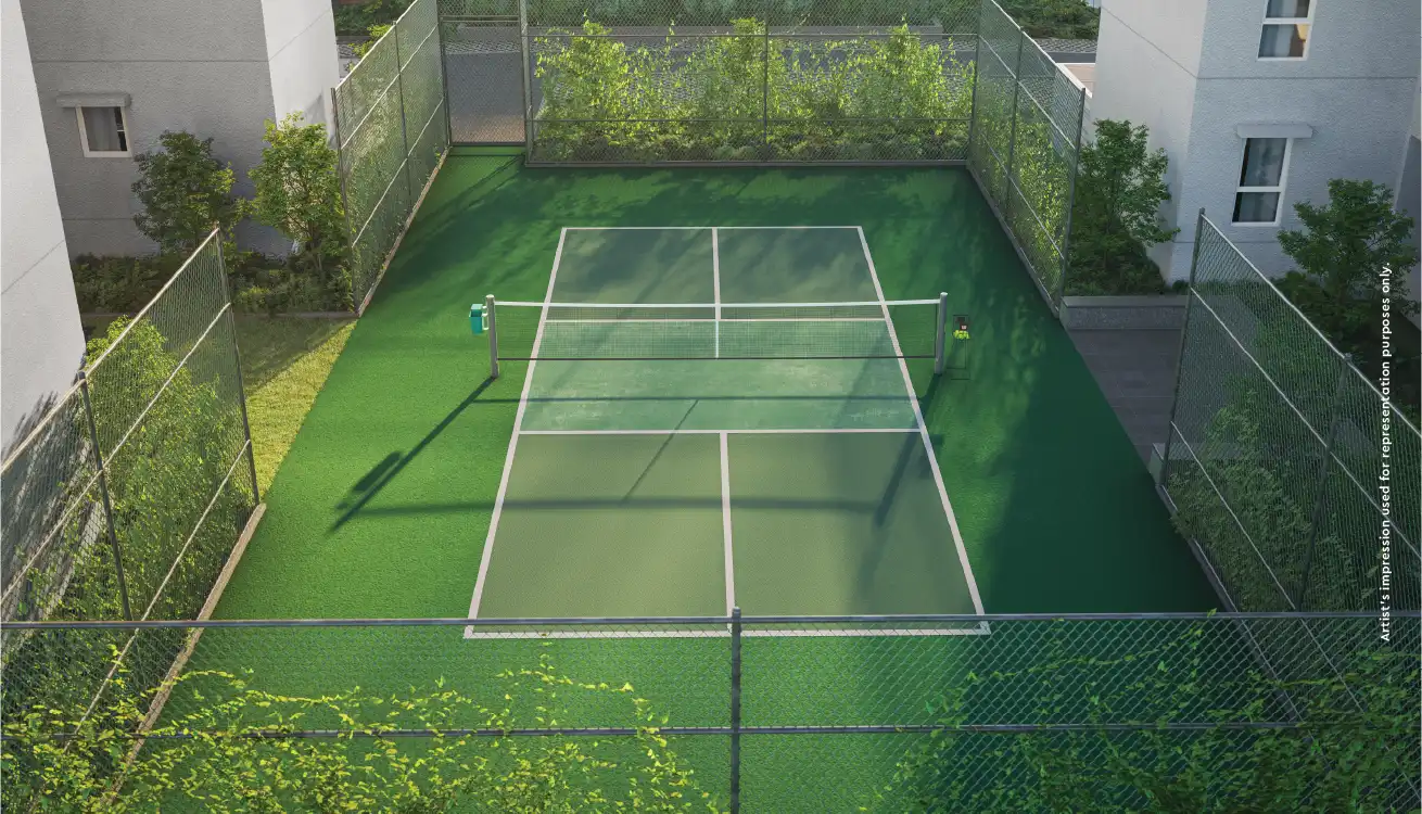 Pickleball Court