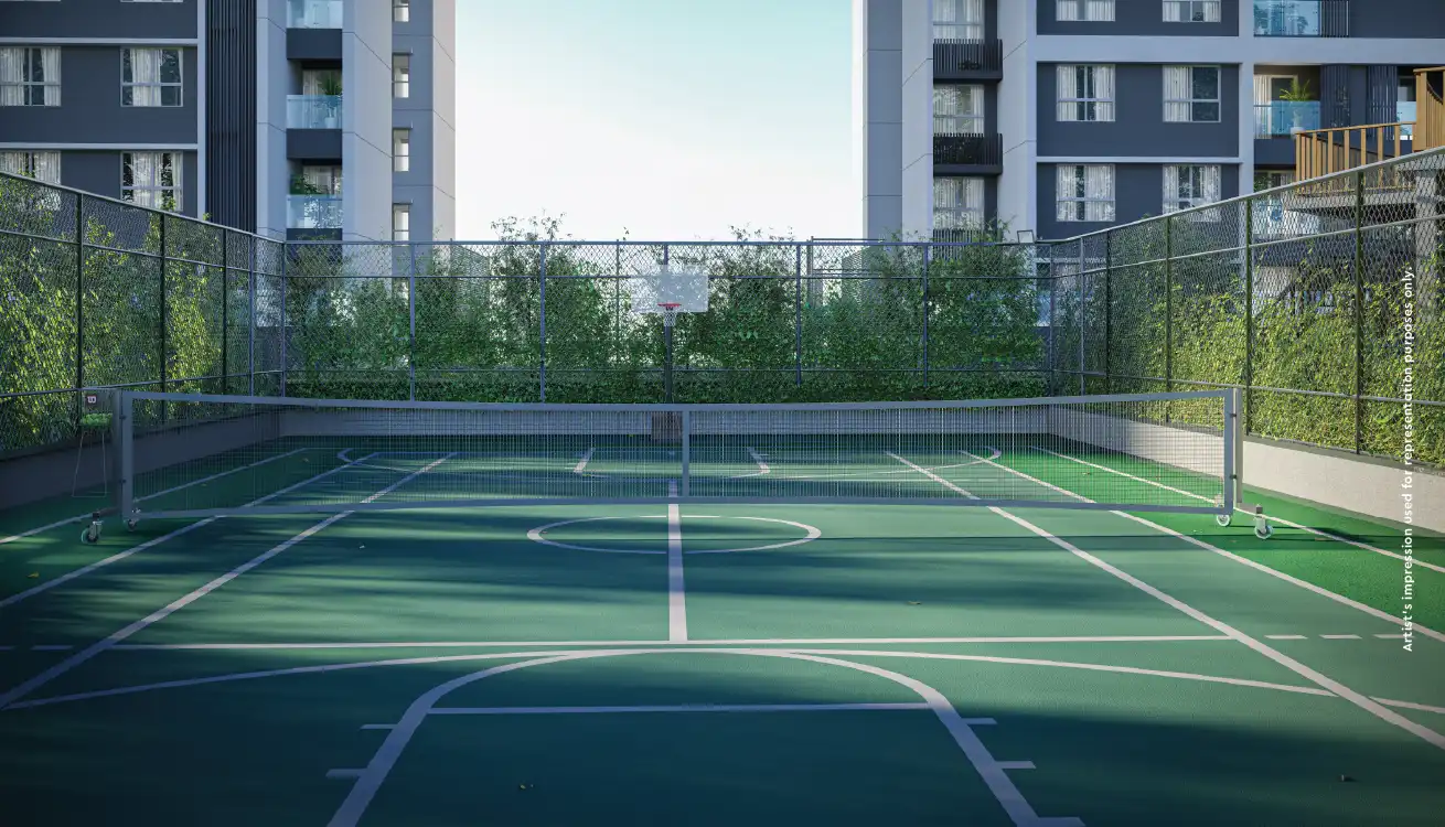 Basketball Court